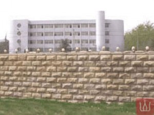 芝麻黄围墙工程